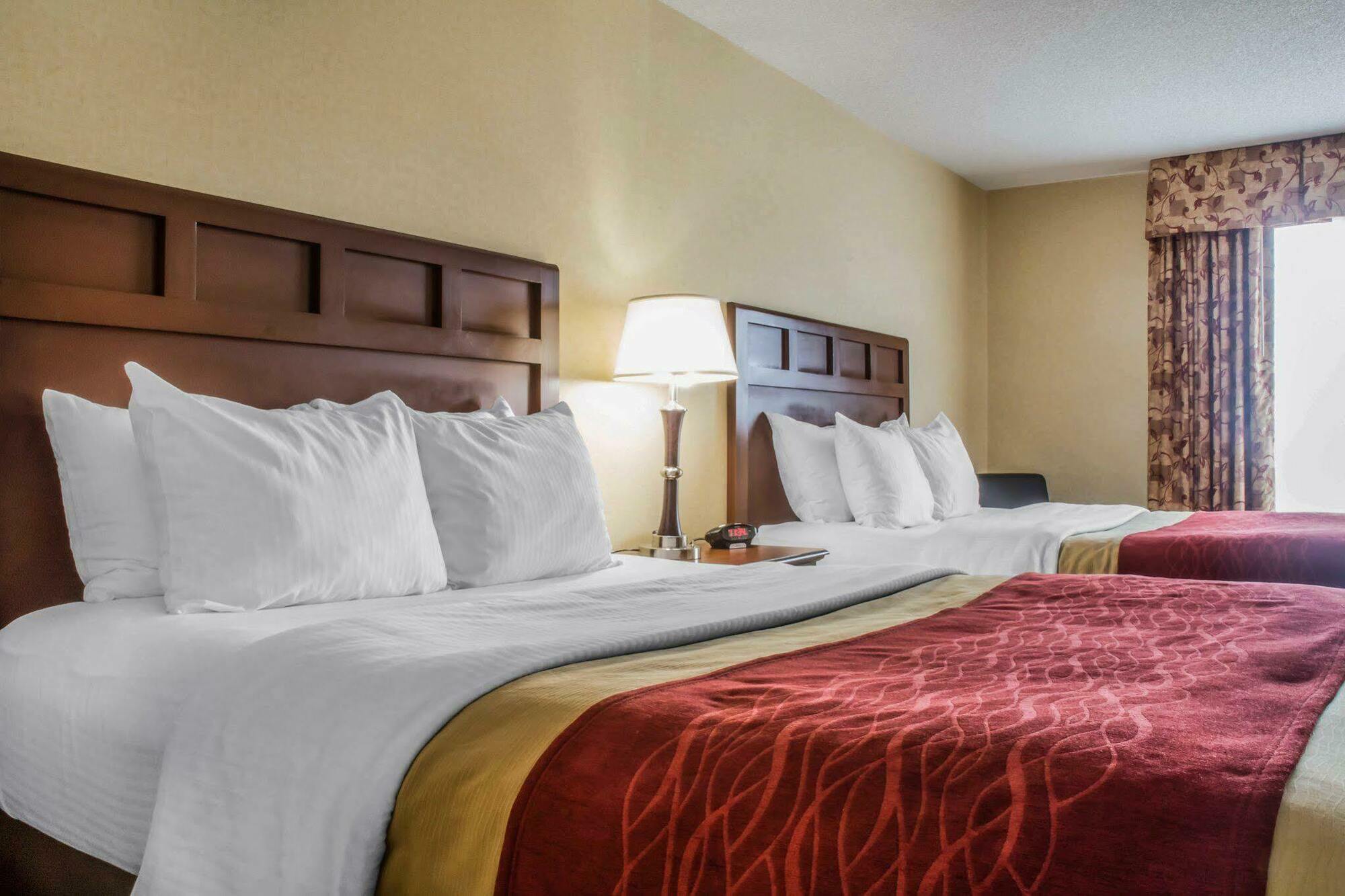 Comfort Inn & Suites Farmington - Victor Eksteriør billede